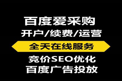 成功SEM推广竞价案例分享